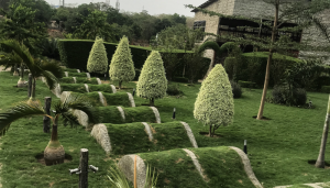 Flowers and well trimmed green grass at central park abuja